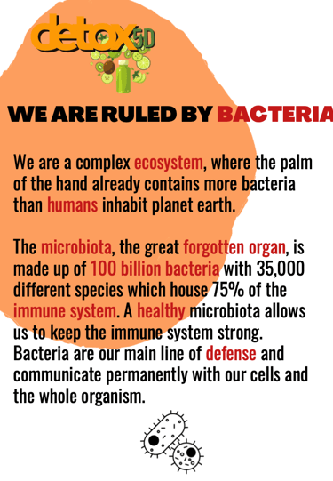 We are ruled by bacteria