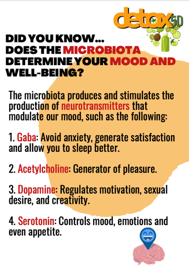 The microbiota determine your mood and well-being