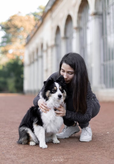 photographe animalier lyon chien photographie