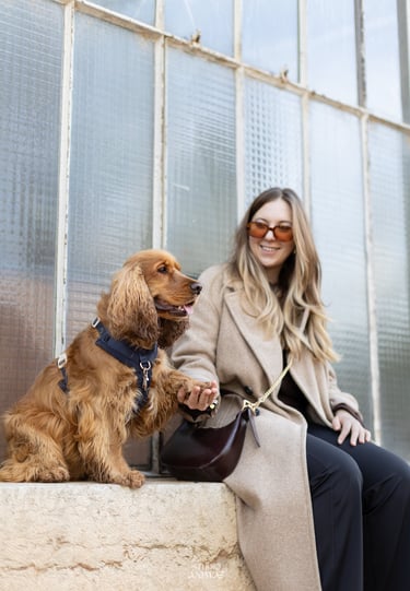 photographe animalier lyon chien photographie