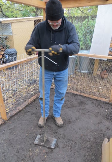 Rat proofing the chicken coop
