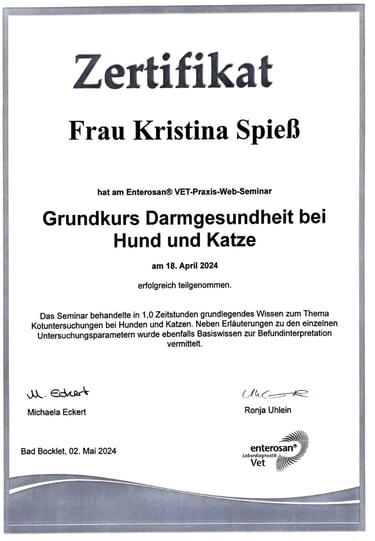 Zertifikat von Kristina Spieß - Grundkurs der Darmgesundheit beim Hund