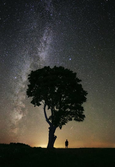 Naktinė fotografija Lietuva Mantas Golubevas