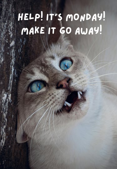 A cross-eyed cat leaning against a tree, exhausted and complaining that it is Monday. 