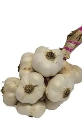 Ail pour le jardin