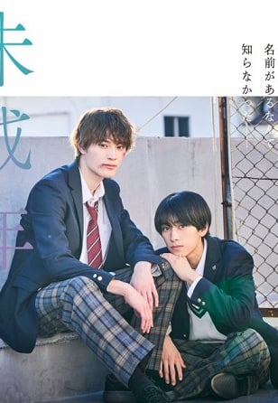 Our Youth - Miseinen