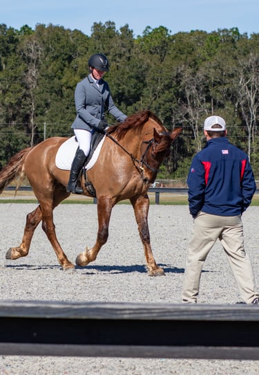 Equestrian rider in formal attire guiding a chestnut horse during a dressage training session, with 