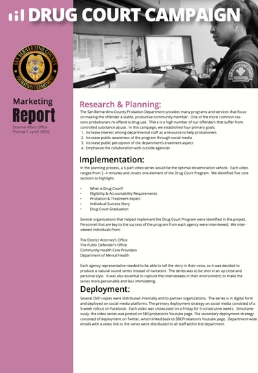 San Bernardino Drug Court Program, San Bernardino Probation, 