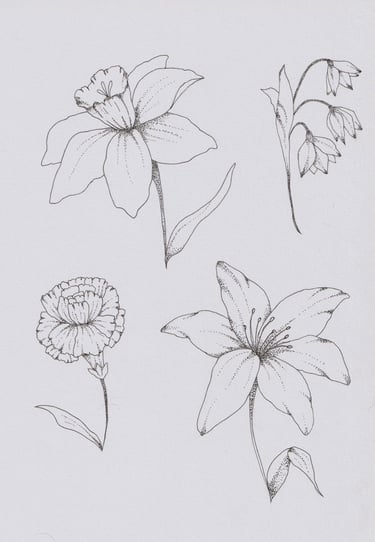 Stippled pen drawings of flowers: a daffodil, snowdrops, a lily and a wild rose.