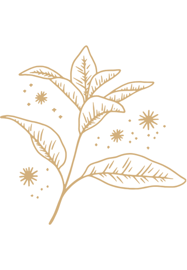 a plant with a star in the middle of it