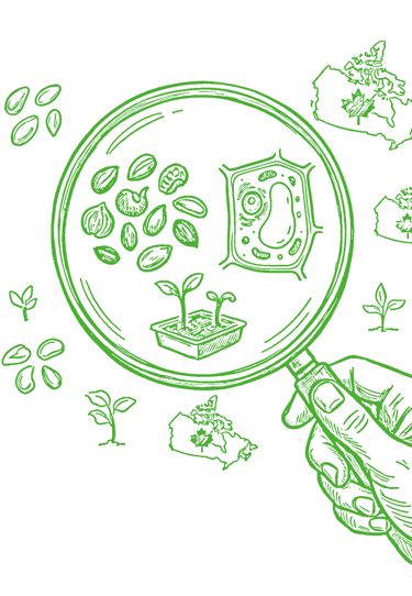 Green line art illustration of a hand holding a magnifying glass over seeds, plant cells, and maps of Canada.