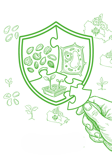 Hand placing a puzzle piece into a green shield featuring seeds, plant cells, and sprouts.