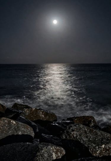 A wide cinematic shot of a dark coastline at night, moonlit #A8A8A8 water, #0F0F0F rocks, professional film still quality, moody and evocative.