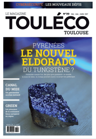 Article TOULECO