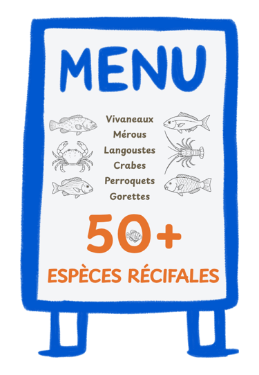 Le Poisson-Lion se nourrit de plus de 50 espèces récifales