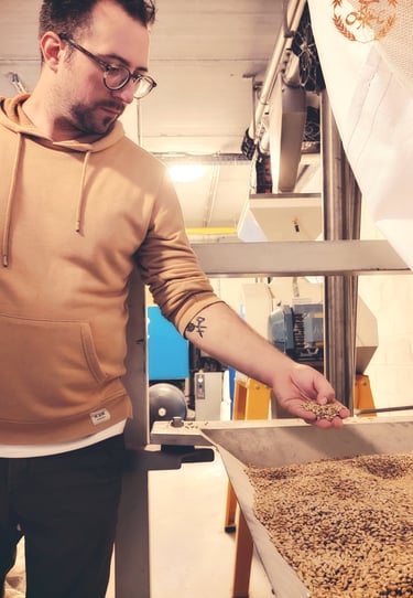 grains de malt
