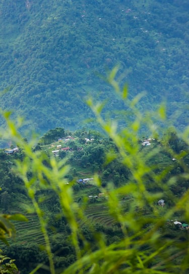 Kashyong village view from crosshill