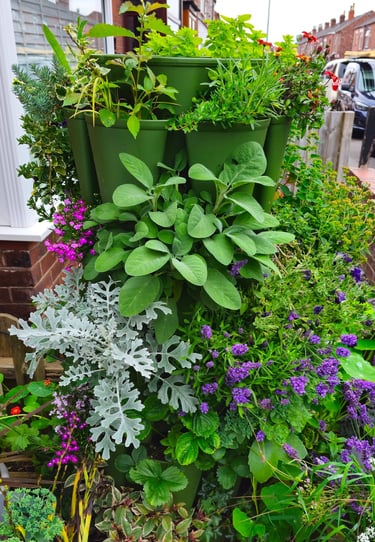 Packed with lush, edible greens and pollinator attracters 