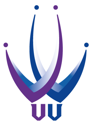 VerVal-Brand strategy