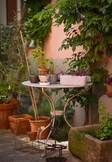 jardin gite zum harzala ribeauvillé