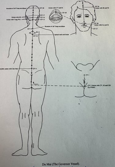 Du Mai (Governor Vessel): the yang ancestry of independence, posture, and the spine–brain axis.