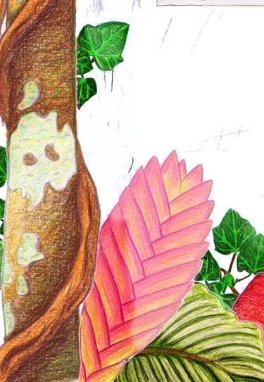 illustration nature sauvage crayon couleur