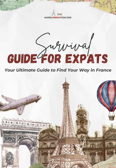 survival-guide-expats-france