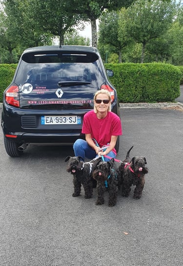 Voiture des Diamants Noirs d'Also