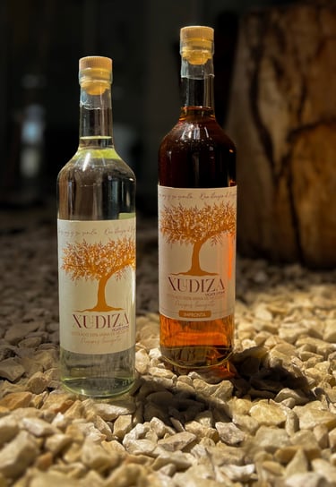 Xudiza Vigate 