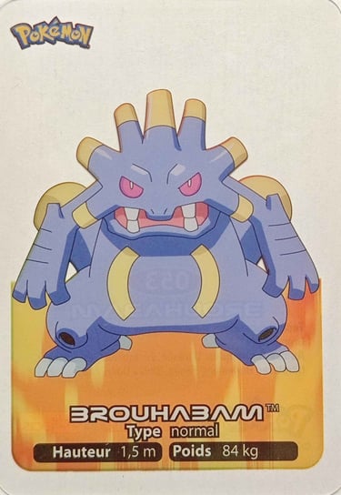 53 Brouhabam Lamicards Pokémon série 3