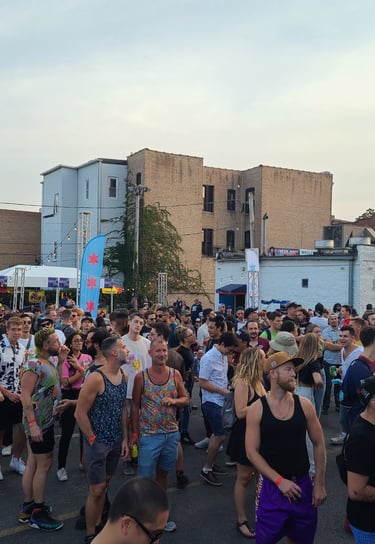Crowd at Outdoor Concert