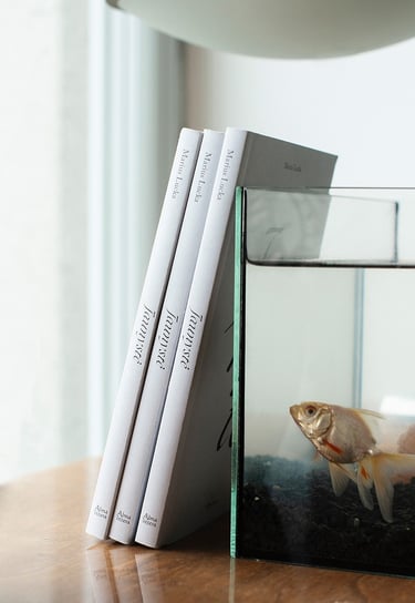 "Jaunystė" book illustrations