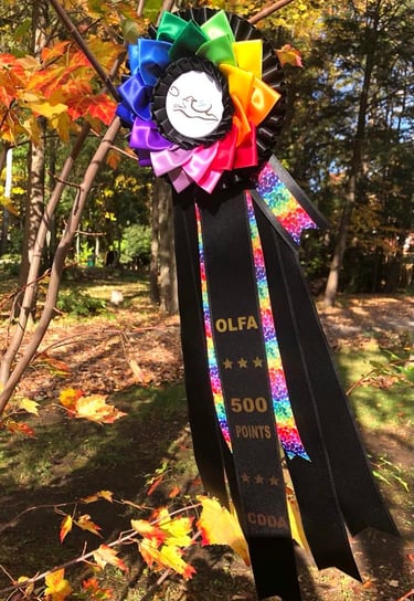 Rosette Fleur, un ''must'', pour un effet d'éclat!