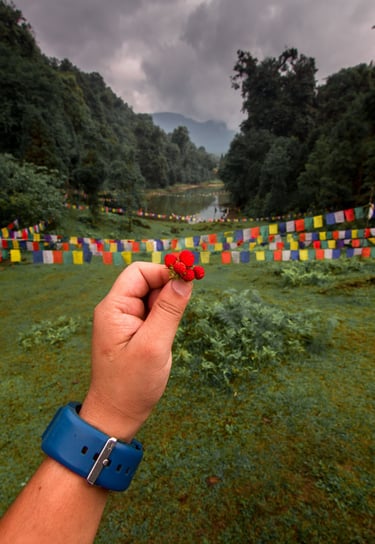 Strawberries at Mulkharka Lake