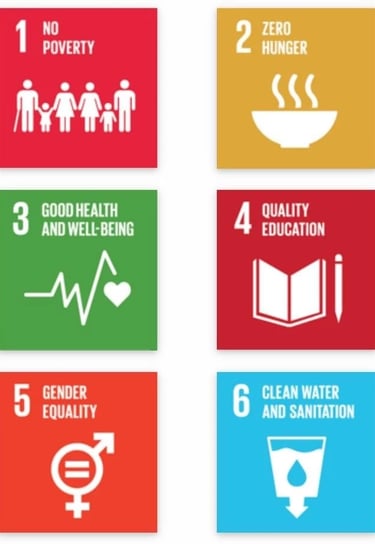 Sustainable Development Goals (SDGs) with Sustainability Certification Program by TreeAndHumanKnot