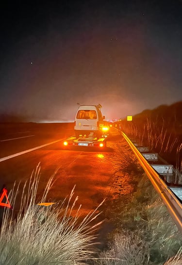 panne en Allemagne, Piaggio