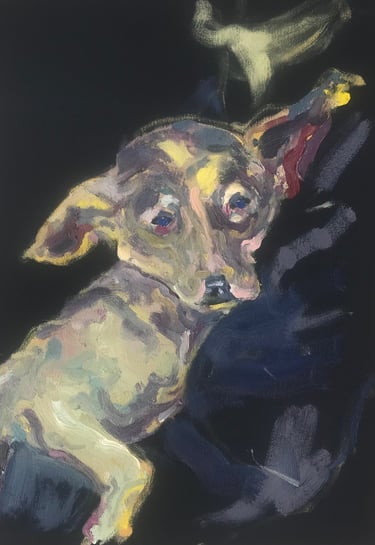 Dog in a shelter by Lina Mikuzyte