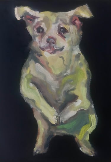 Dog in a shelter by Lina Mikuzyte