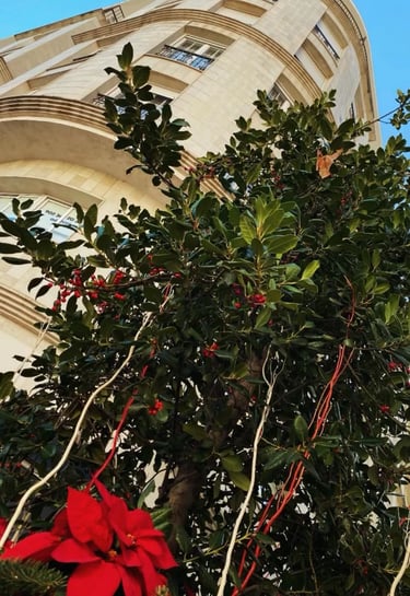 Jaen centro l Asociación de vecinos Calle Navas de Tolosa Jaen centro