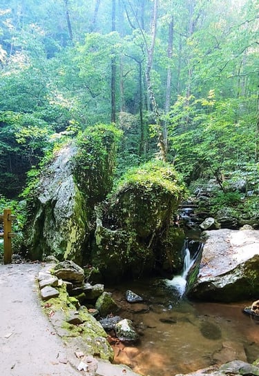 Helen GA - boulders by Smith Creek at Anna Ruby Falls