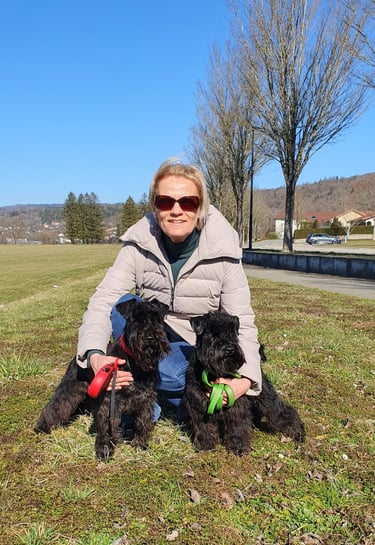Schnauzer nain noir en balade