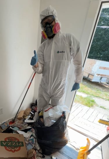 Rodent waste removal and contaminated debris cleanup in Western Massachusetts