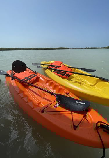 Renta de Kayak Isla Pelicanos Chuburna
