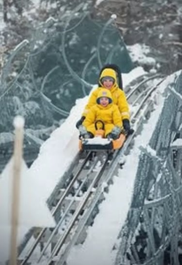 An adult and child in bright yellow winter gear riding a mountain coaster together through a snowy, 