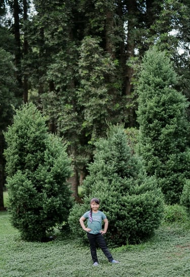 Boy portrait surrounded by pine trees during a Bedugul family photography session.