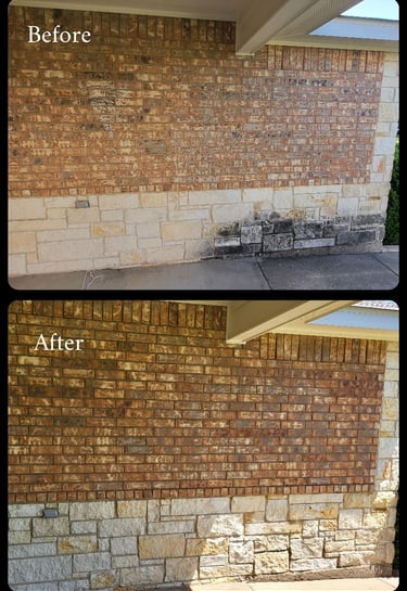 Black algae removed from brick wall and sidewalk.