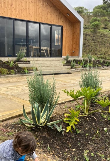 diseño de jardines