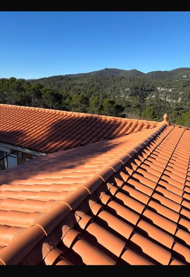 Pose d'un isolant innovant sur les tuiles afin d'éviter les fuites et d'isoler cette habitation