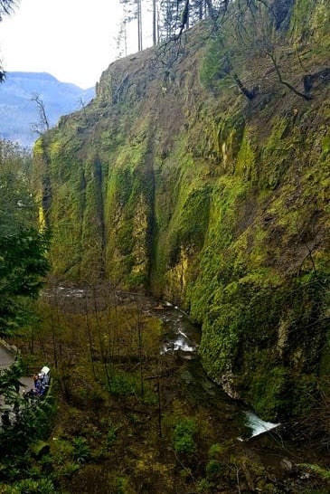 Columbia River Gorge Oregon - a canyon view from the Multnomah Falls trail