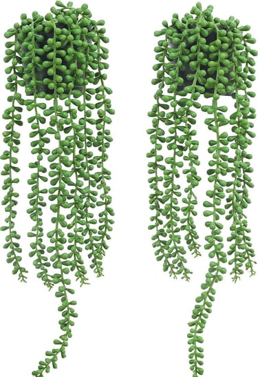 a pair of green plants hanging from a planter